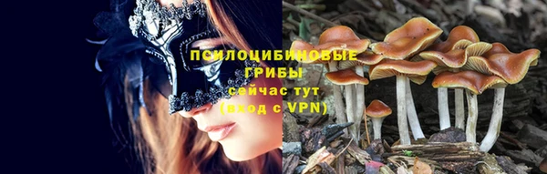 молекула духа Волоколамск
