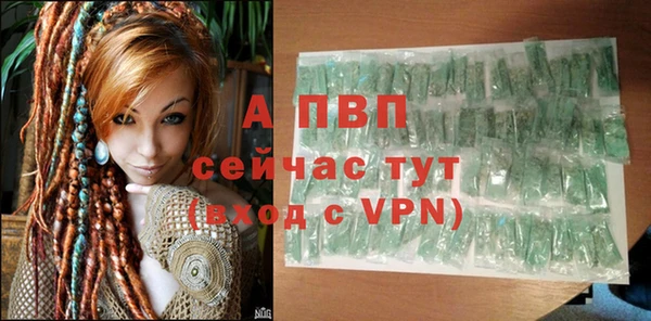 spice Верея