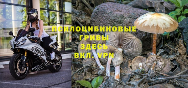 трава Волосово