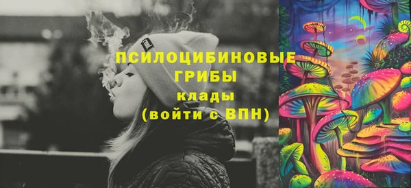 spice Верея